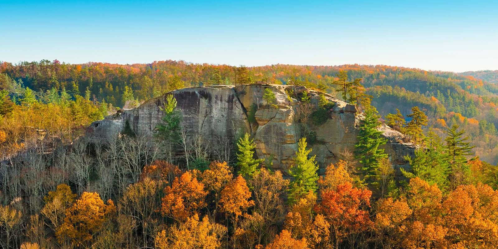 Panoramic view of Red River Gorge in Kentucky during fall, with sandstone cliffs and colorful forest foliage — a scenic location for outdoor weddings.