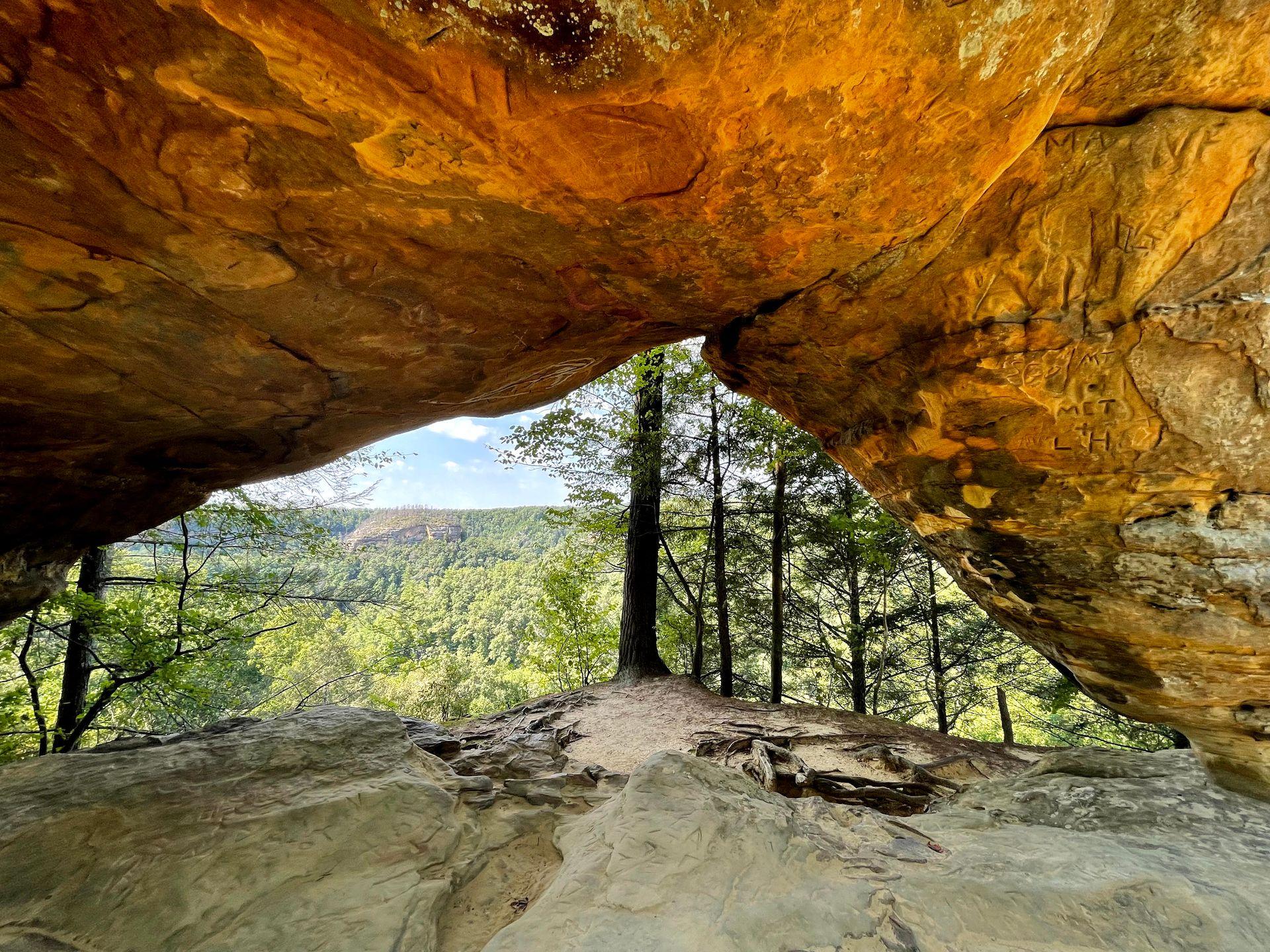 Scenic view from beneath a sandstone arch in Red River Gorge, Kentucky, looking out onto forested cliffs and trees — a stunning natural wedding photo location.